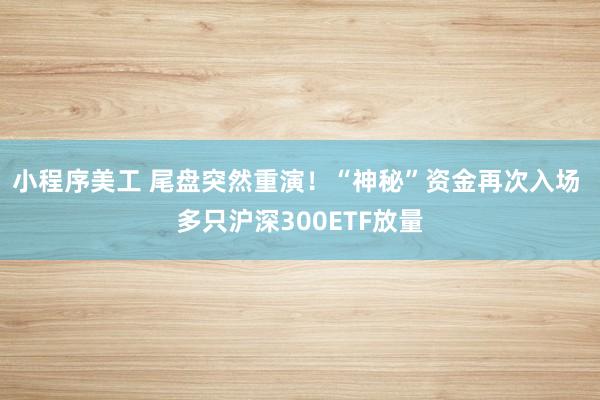 小程序美工 尾盘突然重演！“神秘”资金再次入场 多只沪深300ETF放量